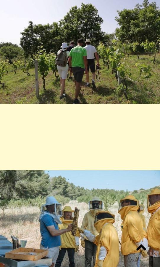 Вилла Casa Vacanza Kruptai 2019 Grottole Экстерьер фото